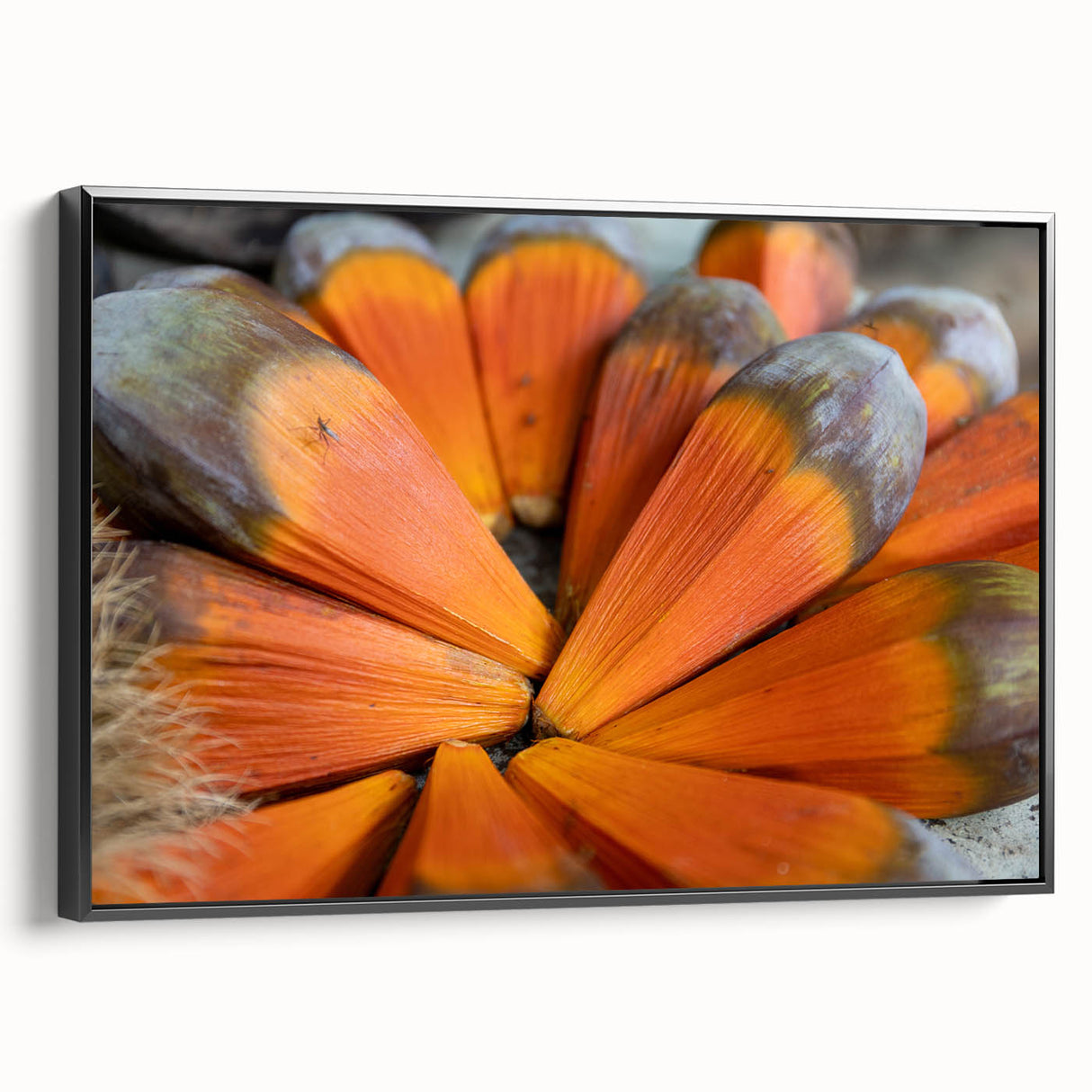 Black and white landscape art of the Seychelles on framed canvas, suitable for bedroom decor.