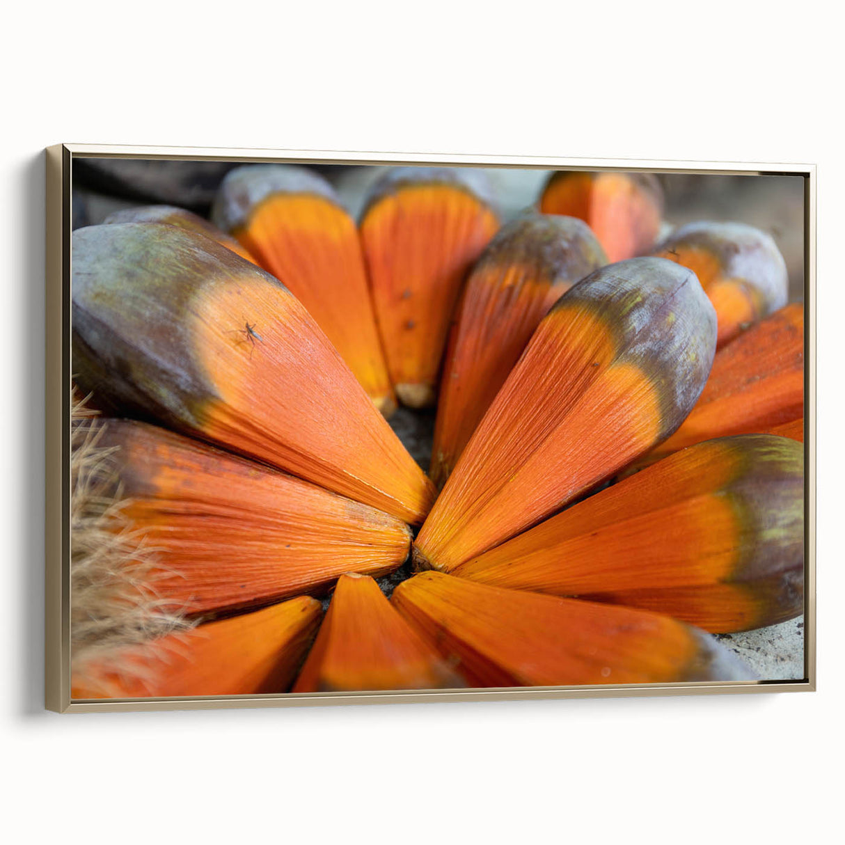 Framed canvas depicting a serene Seychelles landscape in muted earth tones, ideal for bedroom wall art.