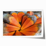 Extra large rolled print of Seychelles scenery with vibrant green and blue tones, ideal for art wall dining room.