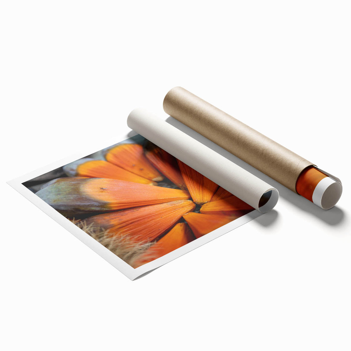 Extra large rolled print depicting Seychelles scenery in soft pastel shades, ideal for classy bathroom wall art.