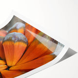 Extra large rolled print featuring line art flowers and Seychelles scenery in vibrant hues.