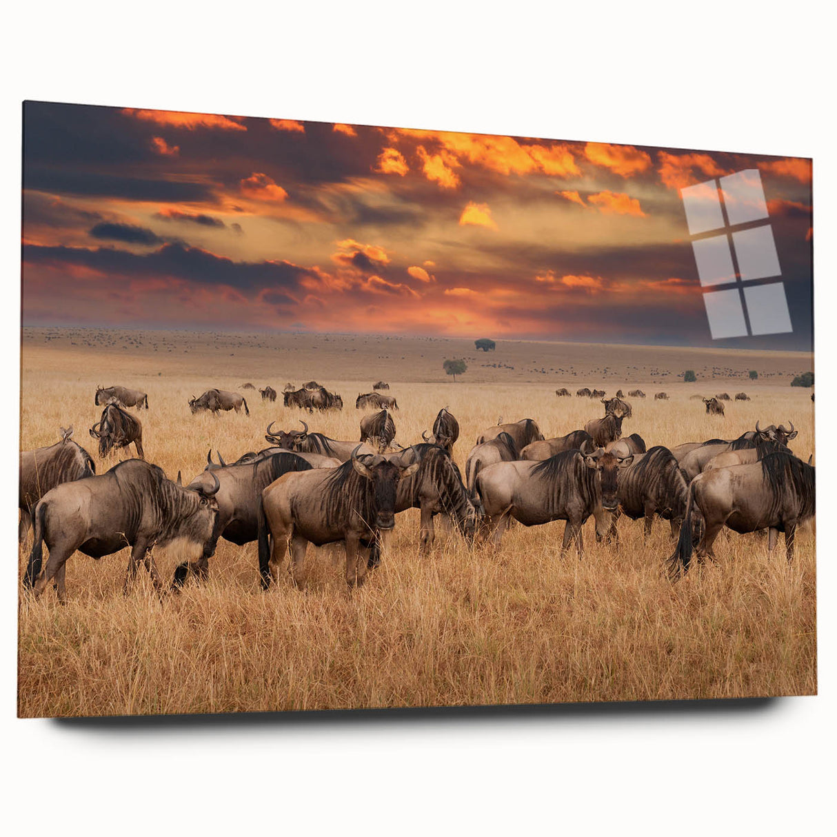Large abstract wall art of Tanzania scenery in vibrant earth tones on acrylic glass, ideal for bedroom or dining room decor.