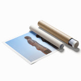 Extra large rolled print featuring a serene floral scene in soft pastel shades, ideal for classy bathroom wall art.