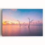 Black and white photograph of the Maldives on stretched canvas, ideal for kitchen wall art.