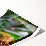 Extra large rolled print featuring line art flowers in black on white, ideal for large living room wall decor.