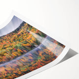 Extra large rolled print depicting line art flowers in muted tones, ideal for large living room wall decor.