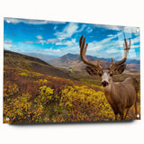 Acrylic glass print of a Yukon, Canada landscape with subdued earth tones, ideal for bedroom or dining room decor.