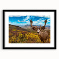 Abstract art print of Yukon scenery in vibrant colors on a large framed canvas, ideal for living room decor.