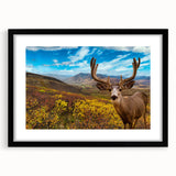 Abstract art print of Yukon scenery in vibrant colors on a large framed canvas, ideal for living room decor.