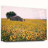 Large abstract wall art depicting the Provence scenery in muted earth tones on acrylic glass.