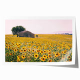 Extra large rolled print of Provence scenery with vibrant floral elements, ideal for art wall dining room.