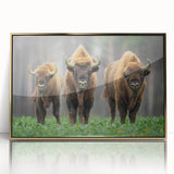 Art deco poster of a European scenery in gold and black tones, acrylic framed, ideal for modern art wall decor.