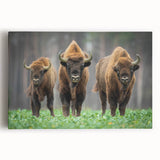 Black and white photograph of a European cityscape on stretched canvas, suitable as kitchen wall art or for bedroom ambiance.