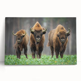 Black and white photo of a European cityscape on large stretched canvas, ideal for kitchen wall art.