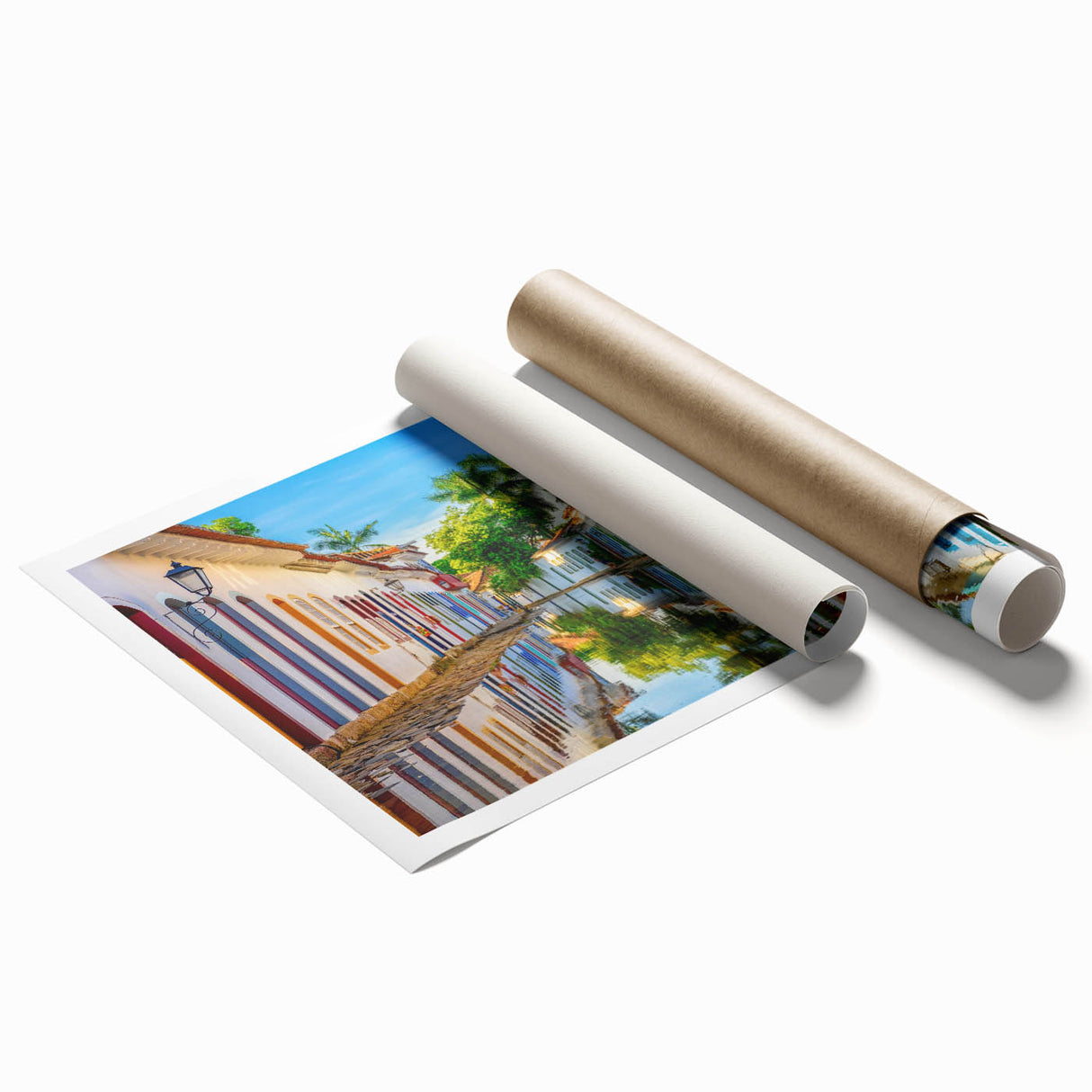 Extra large rolled print of a vibrant floral scene in South America, ideal for classy bathroom wall art.