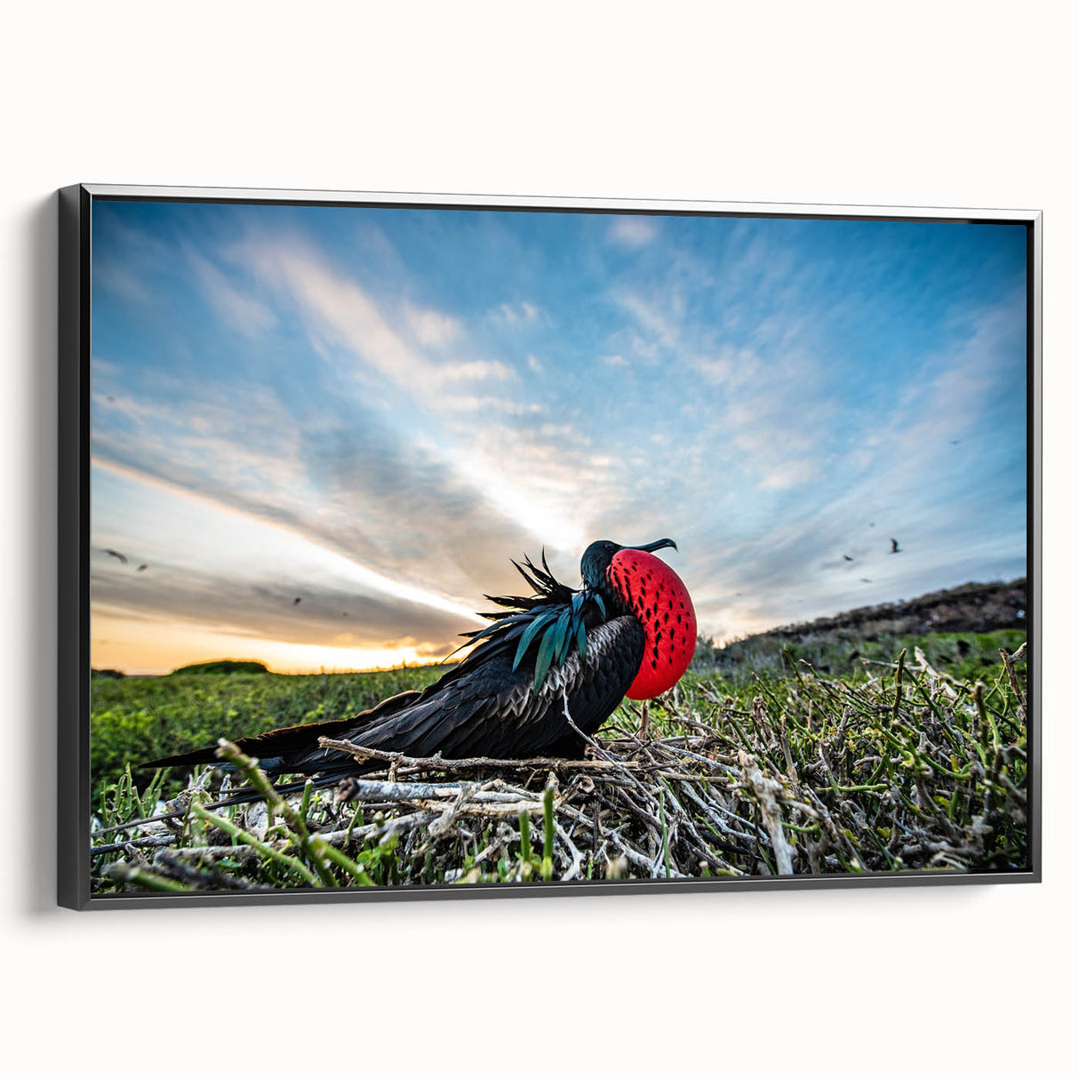Black and white framed canvas of a vintage-style Galapagos landscape, ideal for bedroom wall decor.