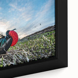 Extra large black wall art featuring a textured, colorful scene of the Galápagos Islands on a framed canvas.