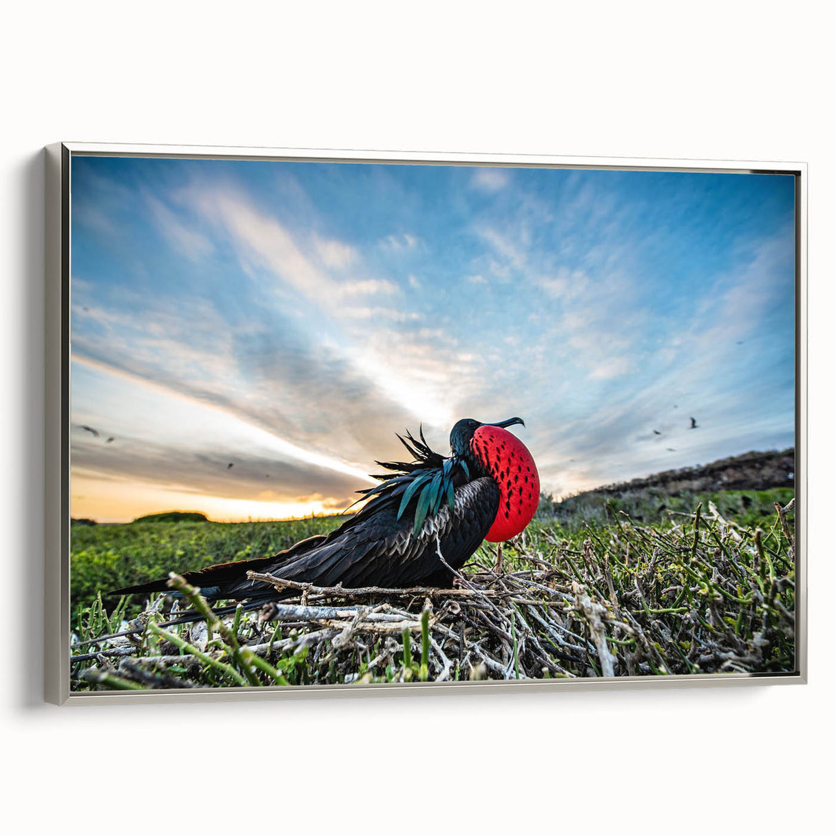 Landscape art painting of Galapagos scenery on framed canvas with vibrant colors and vintage poster style.