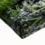 Black and white landscape art painting of the Galapagos Islands on stretched canvas, suitable for bedroom wall decor.