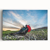 Black and white photograph of the Galápagos scenery on stretched canvas, ideal for kitchen wall art.