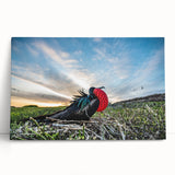Black and white stretched canvas of Galapagos scenery, ideal for kitchen wall art.