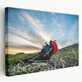 Large art print of Galapagos scenery on stretched canvas, featuring vibrant blue and green tones.
