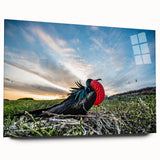 Large abstract wall art of Galapagos scenery on acrylic glass, featuring vibrant blues and greens.