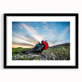 Extra large, colorful abstract art print depicting a textured scene of the Galapagos, framed in black.