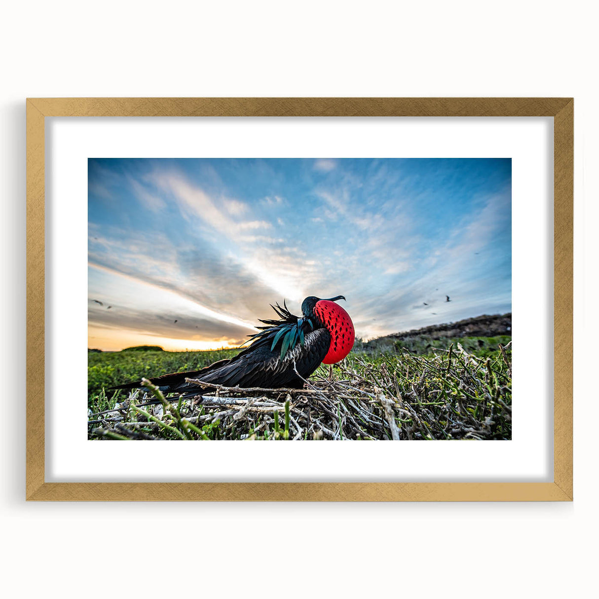 Extra large framed abstract art print depicting a textured scenery of Galapagos, in gold hues, ideal for living room decor.