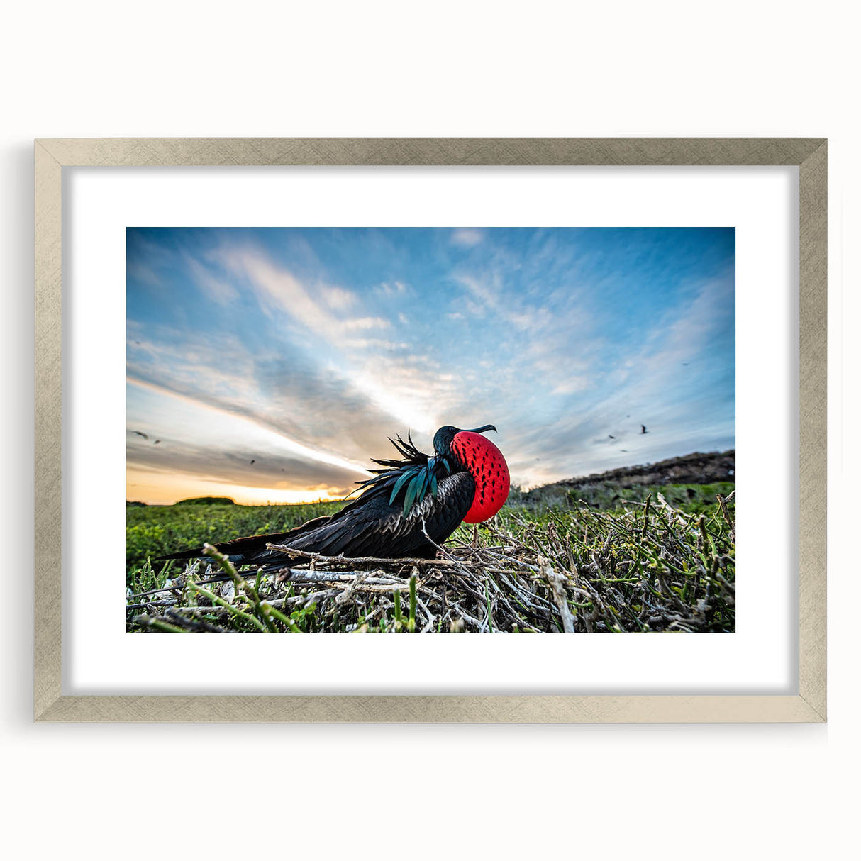 Textured abstract art print of a Galapagos scenery in muted earth tones on a framed canvas, ideal for bedroom art.