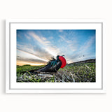 Abstract art print of Galapagos scenery in muted blue and green tones on a white-framed canvas.