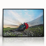 Framed acrylic print of a large abstract depiction of the Galapagos.