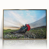 Mid-century modernist style large art print of Galapagos scenery in gold frame, ideal for modern art wall decor.