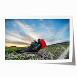 Extra large rolled print of vibrant Galapagos scenery with lush florals, ideal for dining room wall art.