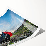 Extra large rolled print of line art flowers in vibrant colors, ideal for large living room wall art.