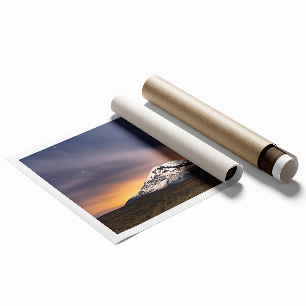 Extra large rolled print of a vibrant floral scene in Ecuador, ideal for classy bathroom wall art.