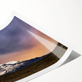 Extra large rolled print featuring line art flowers in monochrome, ideal for large living room wall art.