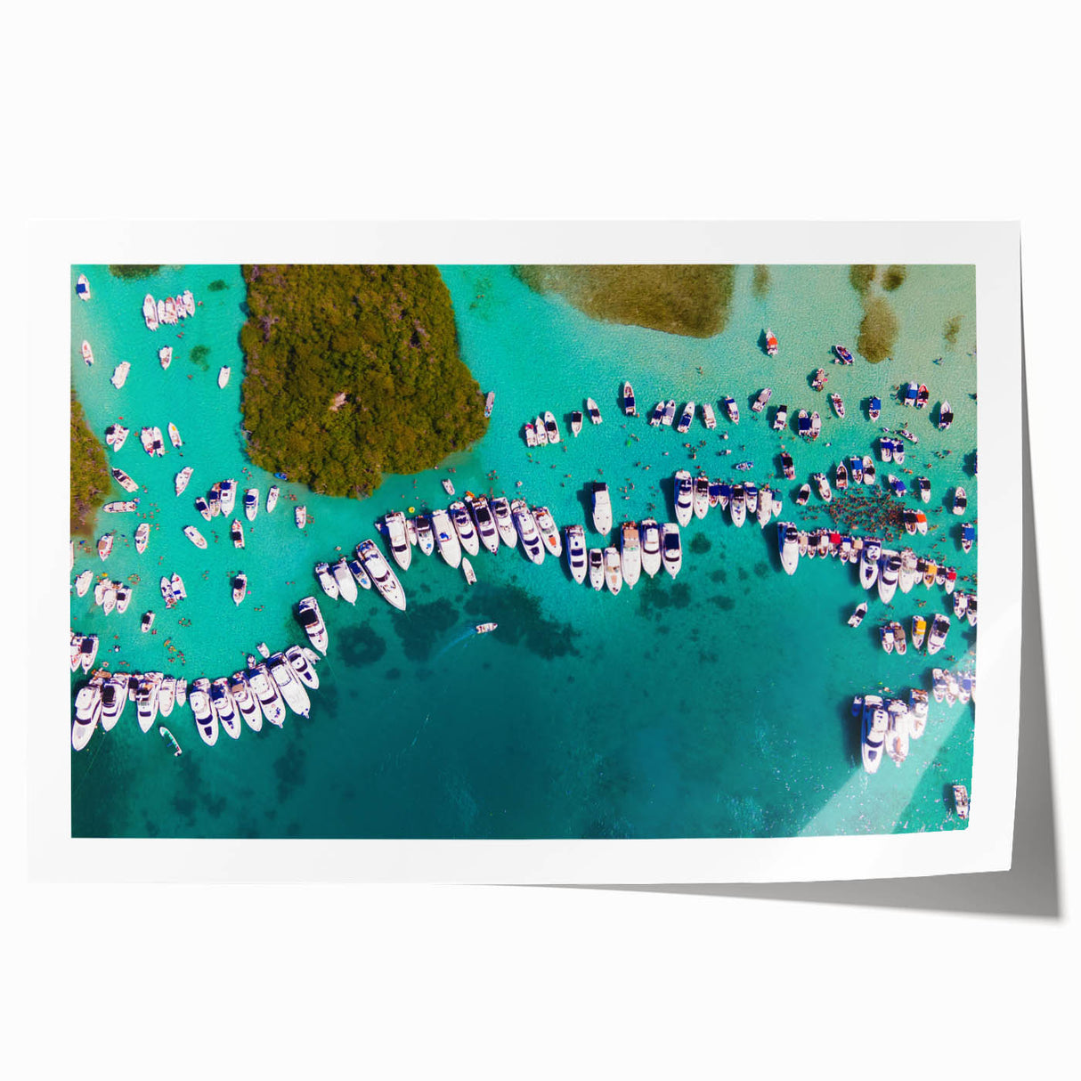 Extra large rolled print of a vibrant Venezuelan landscape, ideal for art wall dining room or bathroom.