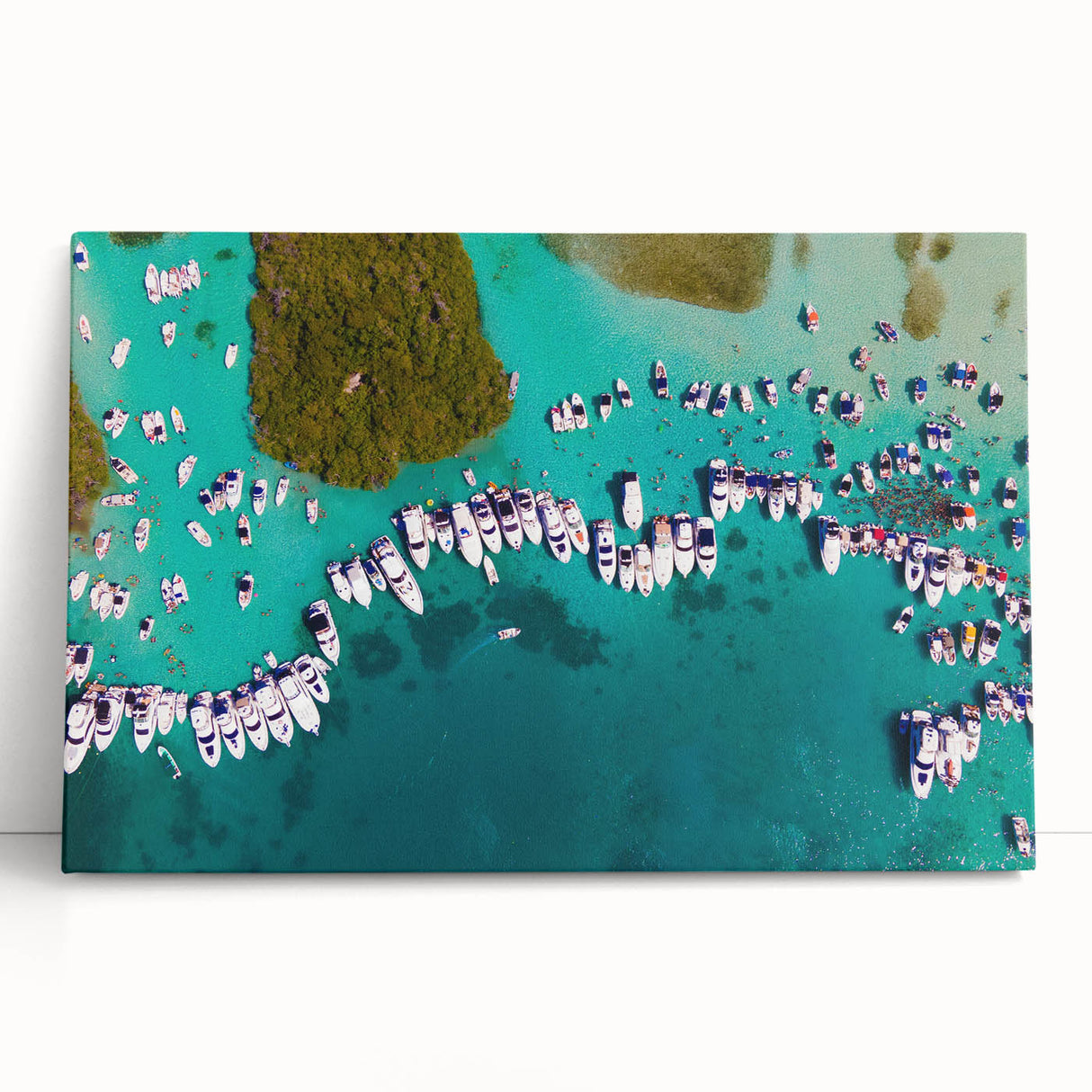 Black and white stretched canvas of a Venezuelan landscape, ideal for kitchen wall art or bedroom decor.
