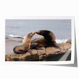 Extra large rolled print of San Diego scenery in pastel shades, ideal for art wall dining room.