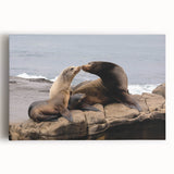 Black and white large art print of San Diego skyline on stretched canvas, ideal for kitchen wall art.