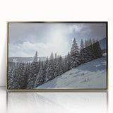 Framed acrylic print of a Colorado landscape, featuring muted earth tones and mid-century modernist style.