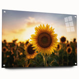 Acrylic print of a large abstract depiction of Kansas scenery in earthy tones, suitable for bedroom or dining room decor.