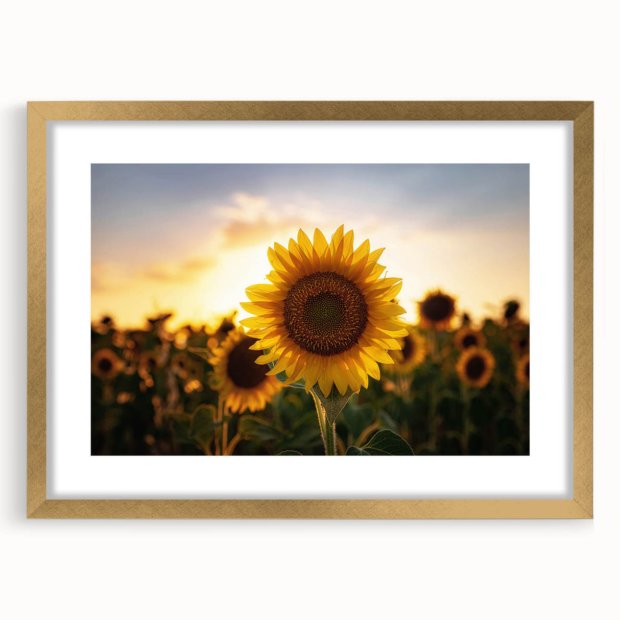 Extra large canvas featuring textured abstract art prints of Kansas scenery in muted earth tones.