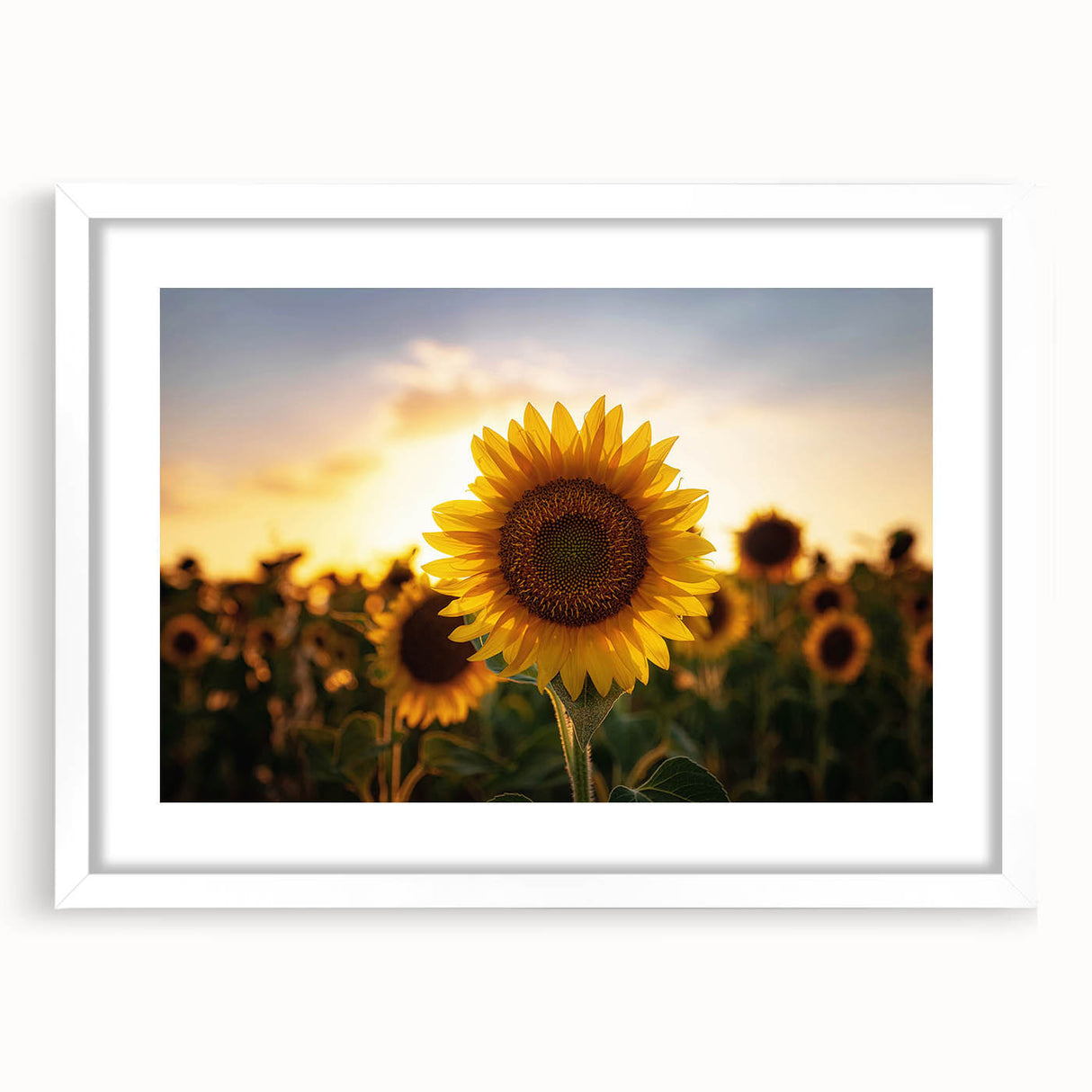 Abstract art print of Kansas scenery in muted green and blue tones on a white framed canvas, suitable for dining room decor.