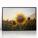 Large abstract wall art depicting a vibrant Kansas scenery in mid-century modernist style on black framed acrylic.