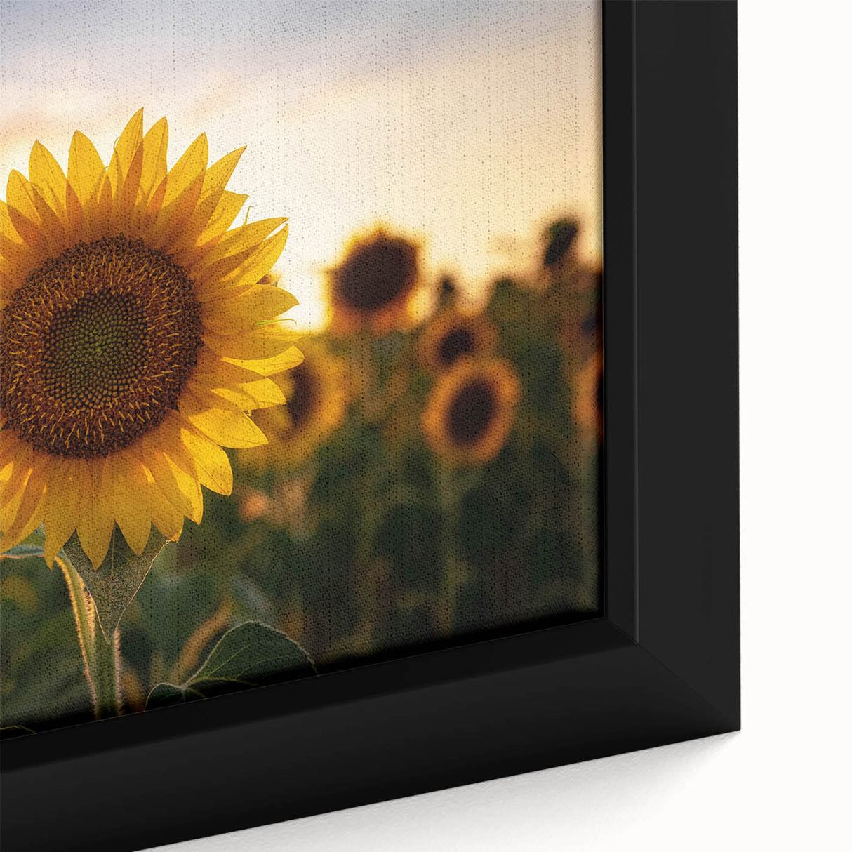 Extra large black wall art featuring a textured Kansas scenery on framed canvas, with vibrant colorful accents.
