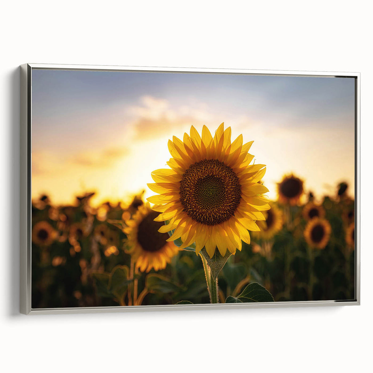 Framed canvas depicting a vintage Kansas landscape in muted earth tones, ideal for adding a rustic touch to living spaces.