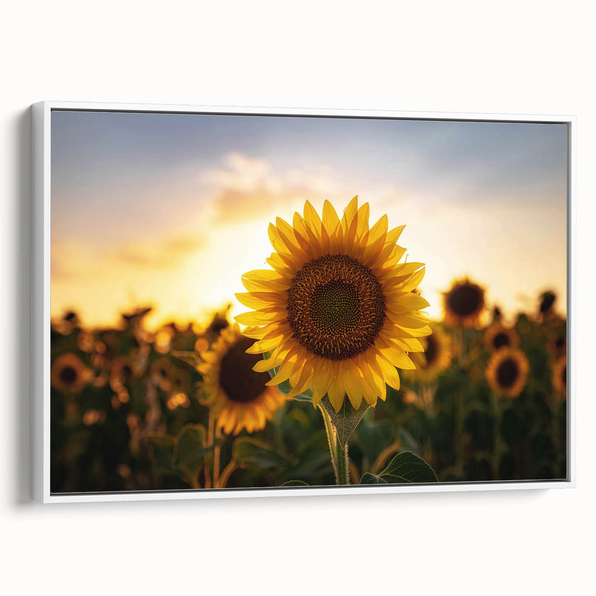 Vintage poster art of Kansas scenery on framed canvas, featuring colorful motifs against a black background.