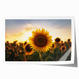 Rolling Kansas landscape in muted greens and blues on a large rolled canvas, suitable for dining room or bathroom decor.